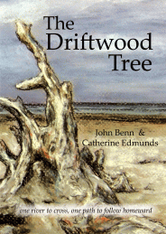 Driftwood Tree by Catherine Edmunds